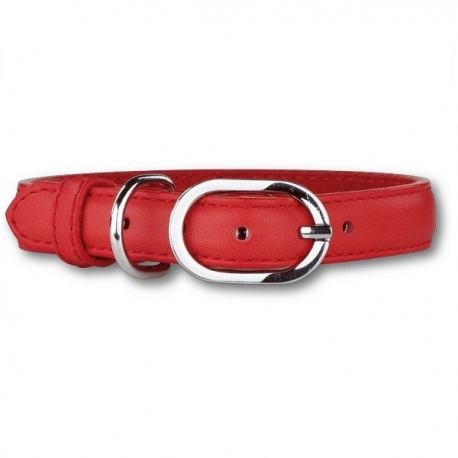 Collier pour chien rouge éclat