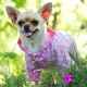 Imperméable pour chien Petit Lutin rose