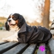 Manteau pour chien Duffle coat