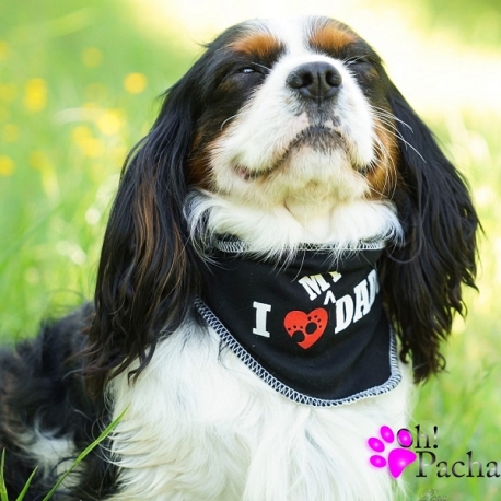 Bandana pour chien I love my Daddy Bandana pour chien I love my Daddy