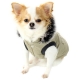 Parka pour chien Gstaad