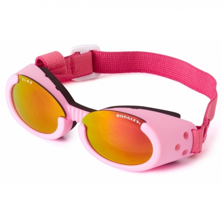 Lunettes rose pour chien