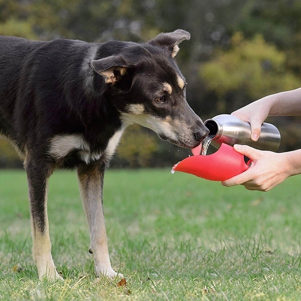 Gourde pour chiens AutoDogMug™