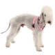 Harnais pour chien Kensington Puppia Rose