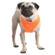 Harnais pour chien orange fluo Puppia
