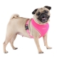 Harnais pour chien rose fluo Puppia