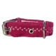 Collier pour chien Capri