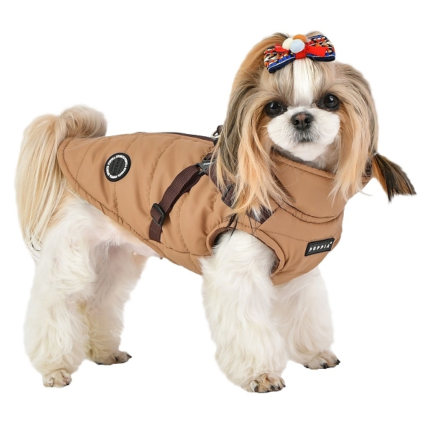 Manteau pour chien beige avec harnais intégré - Boutique chien