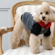 Manteau pour chien Hipster