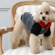 Manteau pour chien Hipster