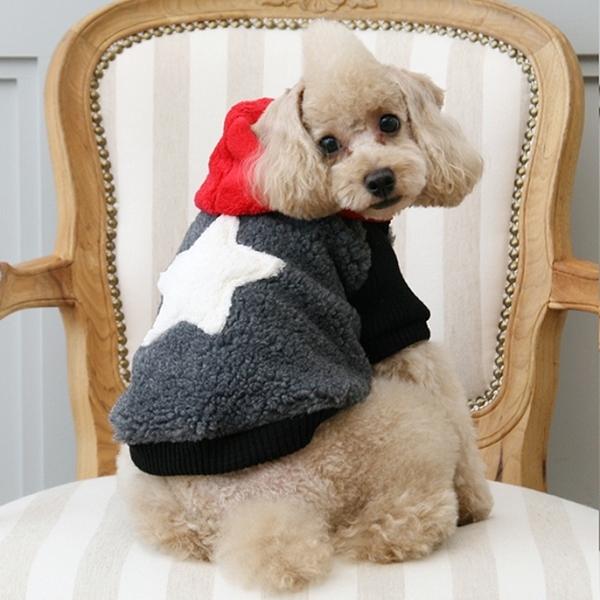 manteau pour chien bichon