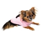 Pull pour chien Glam Chic