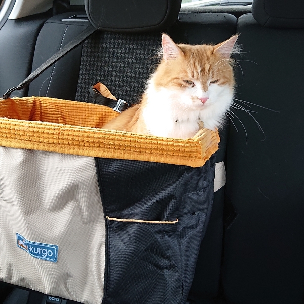 Siège voiture pour chien et chat