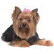 Noeuds pour chien pretty in pink