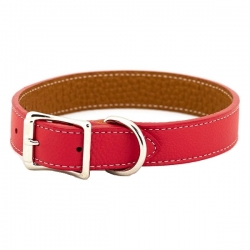 Collier pour gros chien rouge