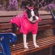 Imperméable pour chien coloris rose