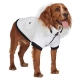 Manteau pour chien Let it snow