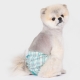 Culotte pour chienne Clara