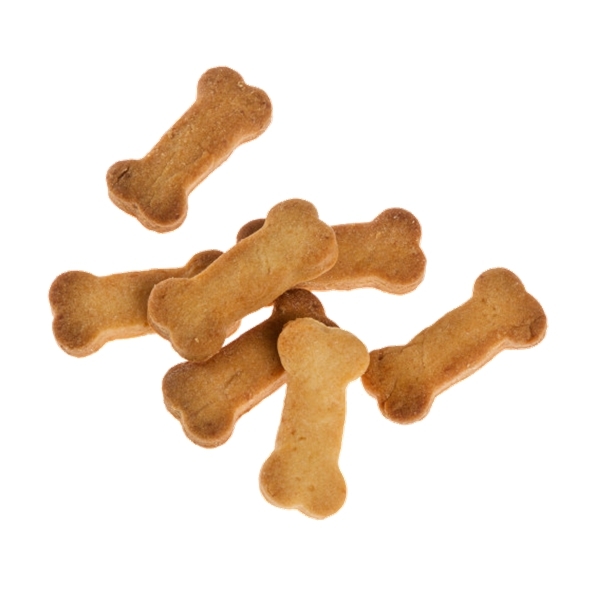Biscuit pour chien en forme d'os - Biscuits chiens