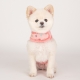 Harnais veste pour chien Scarlett rose