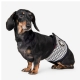 Bandeau pour chien anti-pipi Lucky