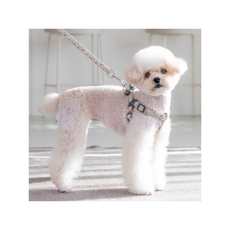 Harnais Pour Chien Puppia Bacopas (Step-in) - Motif Floral - Taille M (Tour De Cou 31cm, Poitrine 39.1cm) - Anti-Traction