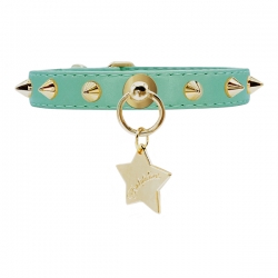 Collier pour chien vert menthe