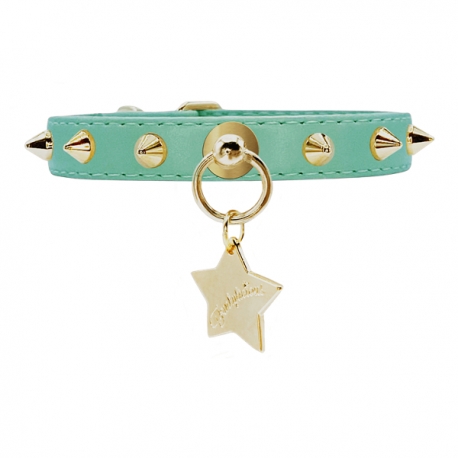 Collier pour chien vert menthe