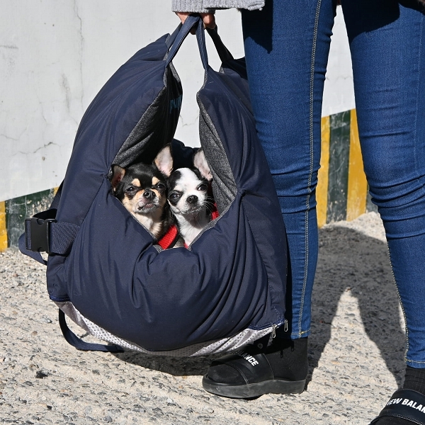 Panier Siège d'Appoint Voiture pour Chien Chat Sac Housse