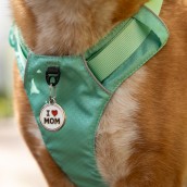 Médaille pour chien à graver I Love Mom