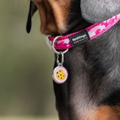 Médaille pour chien à graver Cookie rose