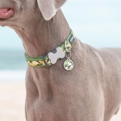 Médaille pour chien à graver camouflage