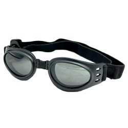 Lunettes de soleil pour chien