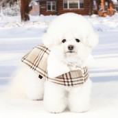 Manteau pour chien Windsor Puppia
