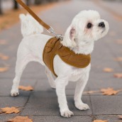 Harnais pour chien Emmie