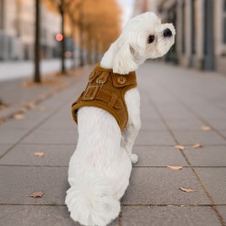 Harnais pour chien Emmie