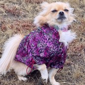 Imperméable pour chien guépard rose