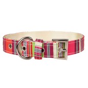 Collier et laisse pour chien Pondichéry