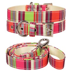 Collier et laisse pour...