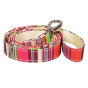 Collier et laisse pour chien Pondichéry