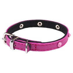 Collier pour petit chien...