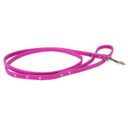 Laisse pour petit chien...