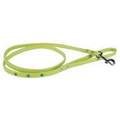 Laisse pour petit chien vert à clous