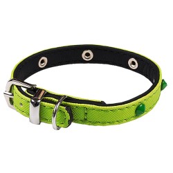 Collier pour petit chien...