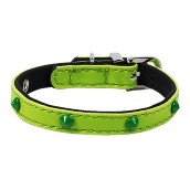 Collier pour petit chien vert à clous