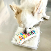 Gâteau pour chien Anniversaire