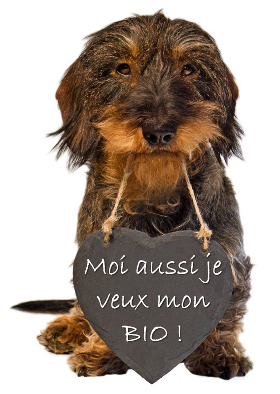 Croquettes Bio pour chiens et chats