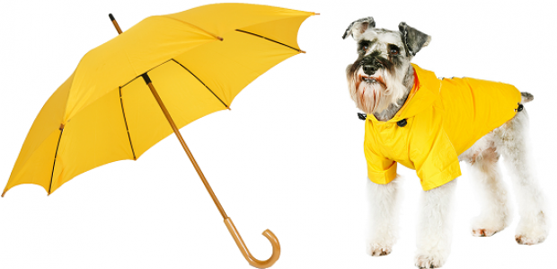 Imperméable coupe-vent pour chien jaune en vente chez Oh ! Pacha