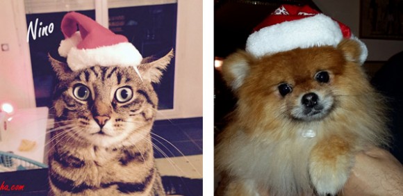 Déguisements de Noël pour chien et chat