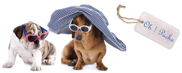 Accessoires pour chien de la boutique Oh ! Pacha